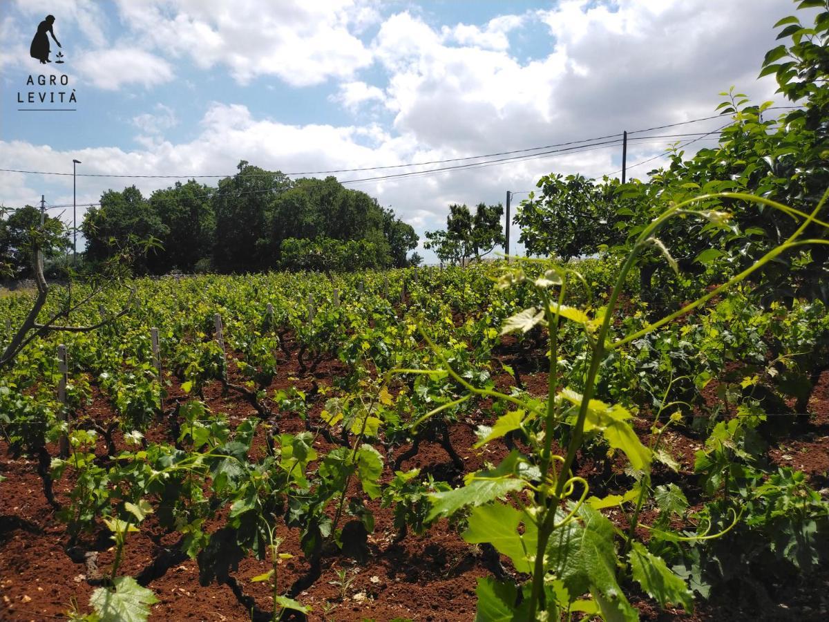 Agro Levita Locorotondo Zewnętrze zdjęcie